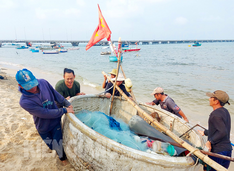 Một làng chài hot giữa phố Phú Quốc của Kiên Giang, thấy bắt vô số cá ngon, khách tha hồ chèo thuyền - Ảnh 1.