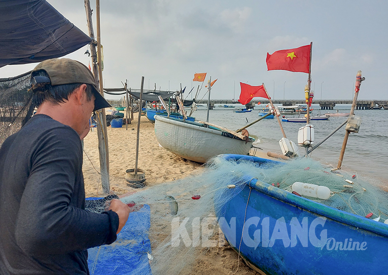 Một làng chài hot giữa phố Phú Quốc của Kiên Giang, thấy bắt vô số cá ngon, khách tha hồ chèo thuyền - Ảnh 4.