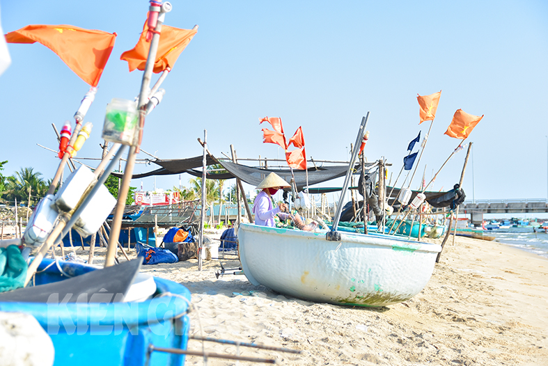 Một làng chài hot giữa phố Phú Quốc của Kiên Giang, thấy bắt vô số cá ngon, khách tha hồ chèo thuyền - Ảnh 5.